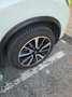 Nissan X-Trail 1.6 dci Business 2wd xtronic E6 - thumbnail 10