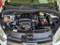 Renault Kangoo AUTOCARRO VAN, 1.5 DCi 75CV, 3 POSTI, IVA ESCLUSA Blanc - thumbnail 13