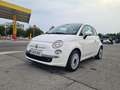 Fiat 500 1.2 Cult - thumbnail 1