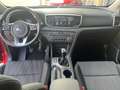 Kia Sportage 1.6 crdi mhev Urban 2wd 136cv Rot - thumbnail 12