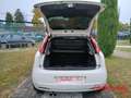 Fiat Grande Punto 1.3 MJT 75 CV 3 porte Blanc - thumbnail 14