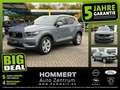 Volvo XC40 T3 Momentum Pro *AHK*Kamera*Sitzh.*Navi* Grau - thumbnail 1