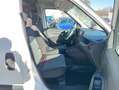 Fiat Doblo MAXI PASSO LUNGO 1.6 MJET 105cv 3 POSTI Bianco - thumbnail 15