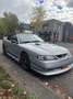 Ford Mustang 5.0 V8 Convertible Grigio - thumbnail 1