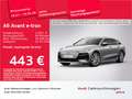 Audi Sonstige Matrix/ACC/Memory/Privacy/AHK/PD Grau - thumbnail 1