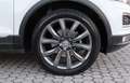 Volkswagen T-Roc T-Roc 1.6 TDI Advanced BMT Bianco - thumbnail 8
