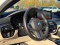 BMW 530 e M Paket,Shadow,Virtual,Leder,R-Kam.3,99% Bianco - thumbnail 15