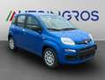 Fiat Panda 1.O FAIRFLY BENZINA/GPL -VARI COLORI- Bleu - thumbnail 3
