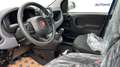 Fiat Panda 1.O FAIRFLY BENZINA/GPL -VARI COLORI- Bleu - thumbnail 10
