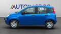 Fiat Panda 1.O FAIRFLY BENZINA/GPL -VARI COLORI- Bleu - thumbnail 5