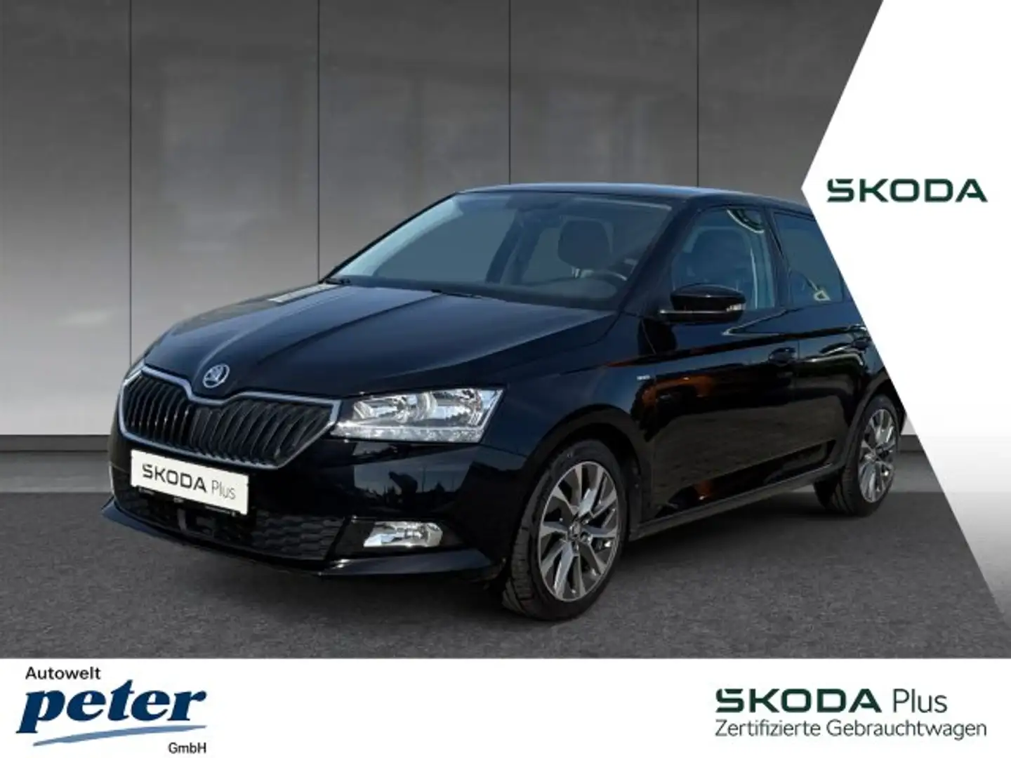Skoda Fabia FABIA TSI CLEVER **ACC*SITZH.*PDC*NSW*MFL*DAB** Noir - 1