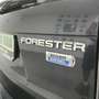 Subaru Forester 2.0TD Sport Plus Gris - thumbnail 11