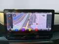 CUPRA Formentor VZ 2.0 TSI 4Drive  *Matt*XL*Beats*19Zoll* Grijs - thumbnail 15
