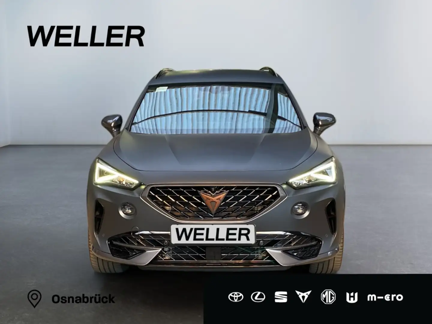 CUPRA Formentor VZ 2.0 TSI 4Drive  *Matt*XL*Beats*19Zoll* Grau - 2