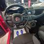 Fiat Panda 1.2 Easy Rosso - thumbnail 7