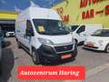 Fiat Ducato L3/H3 NETTO 14.990.- Ohne Anzahlung monatl. 399.- Weiß - thumbnail 1