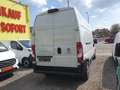 Fiat Ducato L3/H3 NETTO 14.990.- Ohne Anzahlung monatl. 399.- Weiß - thumbnail 6