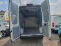 Fiat Ducato L3/H3 NETTO 14.990.- Ohne Anzahlung monatl. 399.- Weiß - thumbnail 5