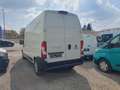 Fiat Ducato L3/H3 NETTO 14.990.- Ohne Anzahlung monatl. 399.- Weiß - thumbnail 4