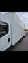 Iveco Sonstige Iveco daily, Kastenwagen mit Automatik Getriebe Weiß - thumbnail 3