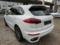 Porsche Cayenne Diesel,Tiptronik S,Pano,Luftfe.,Navi,BiC Weiß - thumbnail 3