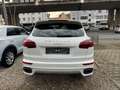 Porsche Cayenne Diesel,Tiptronik S,Pano,Luftfe.,Navi,BiC Weiß - thumbnail 4