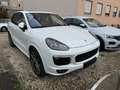Porsche Cayenne Diesel,Tiptronik S,Pano,Luftfe.,Navi,BiC Weiß - thumbnail 1