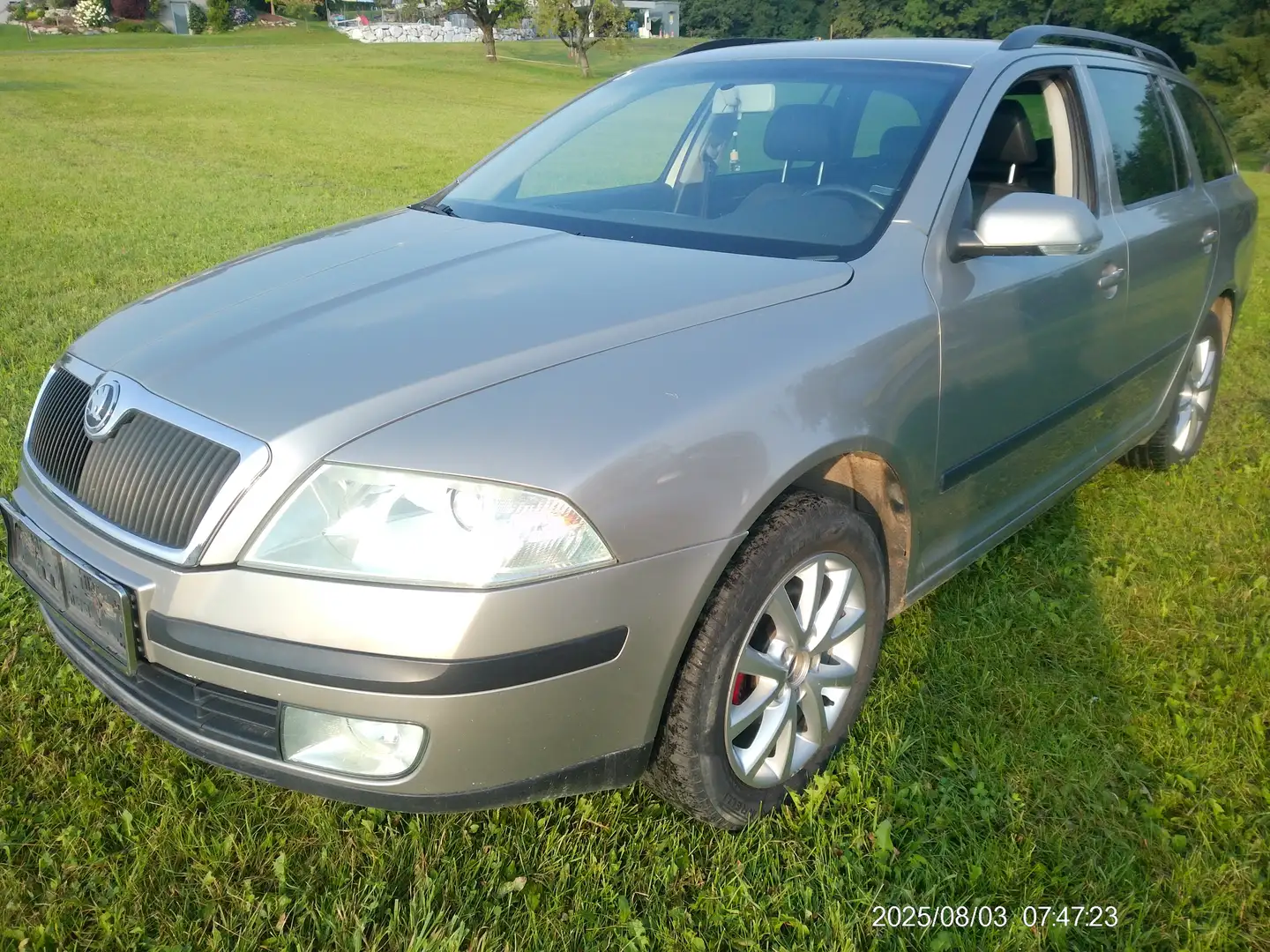 Skoda Octavia Elegance 4X4 Gris - 2