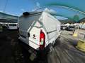 Fiat Ducato 35 2.2 Mjt 140CV PM-TN Furgone Alb - thumbnail 4