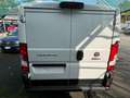 Fiat Ducato 35 2.2 Mjt 140CV PM-TN Furgone Alb - thumbnail 8