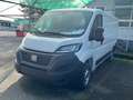 Fiat Ducato 35 2.2 Mjt 140CV PM-TN Furgone Alb - thumbnail 2