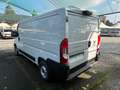 Fiat Ducato 35 2.2 Mjt 140CV PM-TN Furgone Alb - thumbnail 5