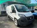 Fiat Ducato 35 2.2 Mjt 140CV PM-TN Furgone Alb - thumbnail 3