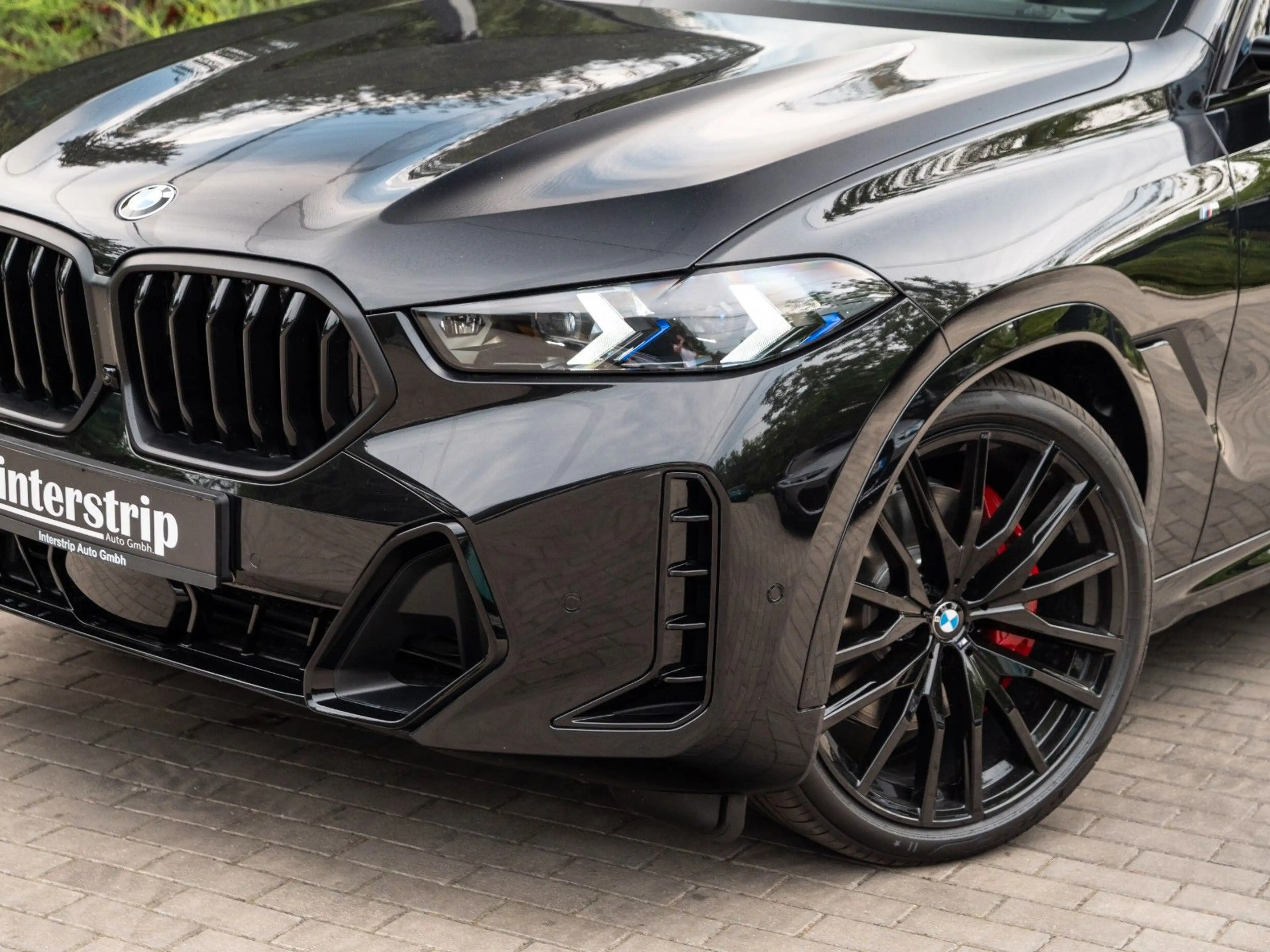 BMW X6 40d M SPORT.LUFTFE.PANO.DR.ASS.360.22".AHK — photo 8