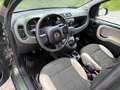 Fiat Panda Rock 4x4 1.3 Multijet Diesel Grün - thumbnail 13