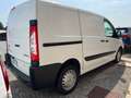 Citroen Jumpy 29 2.0 HDi/125 FAP PL-TN Furgone/IVA ESCLUSA Blanc - thumbnail 5