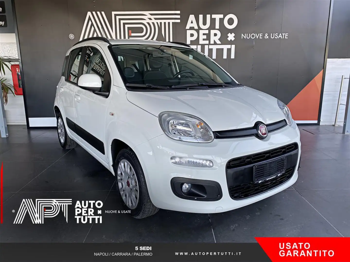 Fiat Panda Panda 1.2 Lounge 69cv Bianco - 2