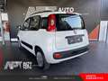 Fiat Panda Panda 1.2 Lounge 69cv Bianco - thumbnail 4