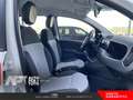 Fiat Panda Panda 1.2 Lounge 69cv Bianco - thumbnail 15