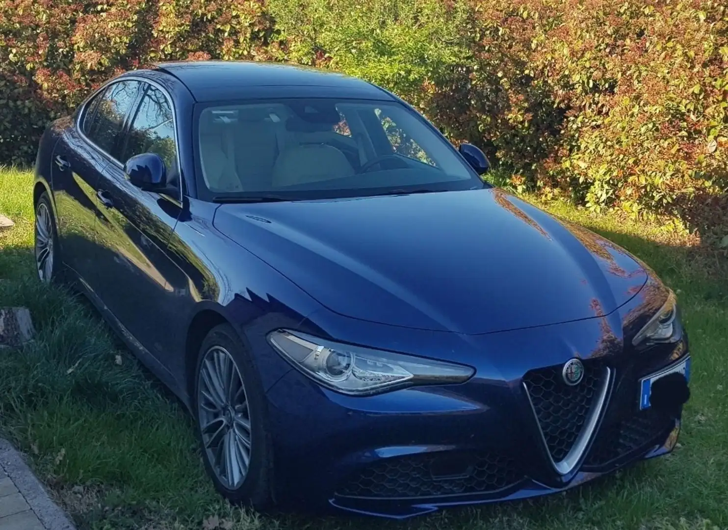 Alfa Romeo Giulia 2.2 t eco Business 180cv auto Blu/Azzurro - 1