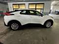 Toyota C-HR C-HR II 2023 1.8 hev Active fwd e-cvt Blanc - thumbnail 3