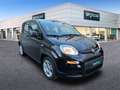 Fiat Panda Hybrid 1.0 51kw (70CV) - Noir - thumbnail 3