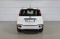 Fiat Panda Cross 1.0 FireFly S&S Hybrid Blanc - thumbnail 15