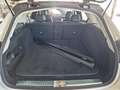 Mercedes-Benz E 220 d T AVANTGARDE+MBUX+PANO+DIST+AMBIENTE+AHK Blanc - thumbnail 10