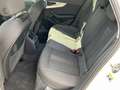Audi A4 allroad 40 TDI quattro AHK Navi AVC ACC PDC SH LM Weiß - thumbnail 13