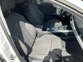Audi A4 allroad 40 TDI quattro AHK Navi AVC ACC PDC SH LM Weiß - thumbnail 14