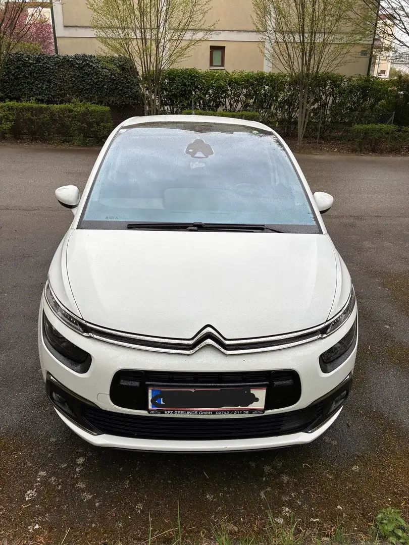 Citroen C4 SpaceTourer PureTech 130 S&S 6 Gang Feel Weiß - 1