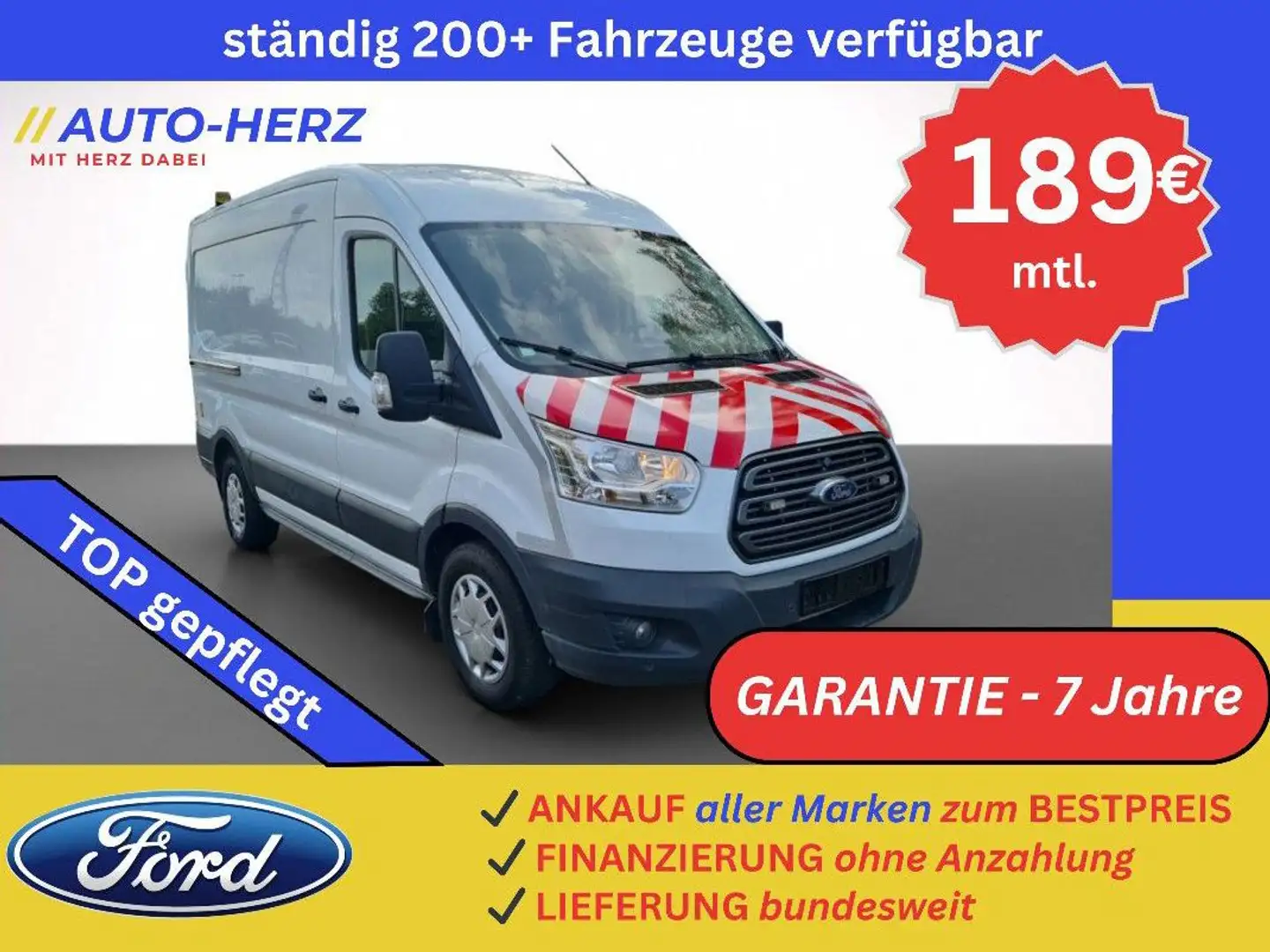 Ford Transit Kasten 350 L2H2 Trend *KLIMA-STANDHZG.* Weiß - 1