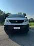 Peugeot Expert BlueHDi 100 ISOTERMICO  FRIGO Premium LONG Wit - thumbnail 10