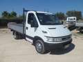 Iveco Daily 35c12 cassone fisso Bianco - thumbnail 3